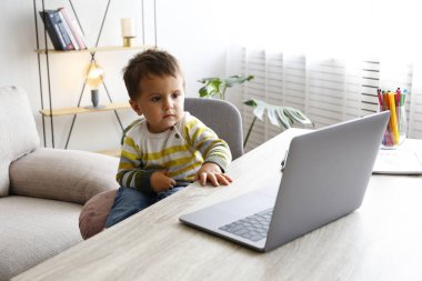 İki yaşındaki bir çocuk büyülenmiş bir yüz ifadesiyle dizüstü bilgisayara bakıyor. Evde dizüstü bilgisayarla masada oturan küçük çocuk. Kapat, kopyala boşluk, arkaplan.