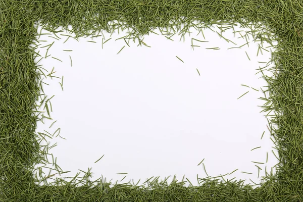 Heap Green Conifer Needles Laid Shape Rectangular Frame Isolated White — Stock Photo, Image