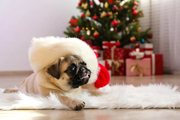 Liebenswerter Mops Über Dem Weihnachtsbaum Mit Verschwommenem Festlichem Dekor Porträt — Stockfoto