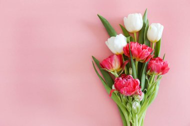 Taze çiçek kompozisyonu, farklı türde laleler, pembe arka planda izole edilmiş. Uluslararası Kadınlar Günü, Anneler Günü karşılama konsepti. Boşluğu kopyala, kapat, üst görünüm, düz yatış.