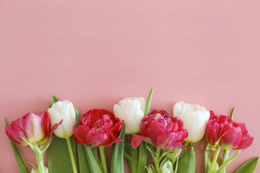 Taze çiçek kompozisyonu, farklı türde laleler, pembe arka planda izole edilmiş. Uluslararası Kadınlar Günü, Anneler Günü karşılama konsepti. Boşluğu kopyala, kapat, üst görünüm, düz yatış.