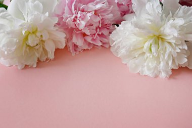 Güzel şakayıkların dokulu arka planda çekilmiş bir stüdyo fotoğrafı ve metin için bir sürü fotokopi alanı. Çiçeklerin farklı renkte olduğu kadınsı bir çiçek kompozisyonu. Yaklaş, üstten bak, arkaplan, düz yat.