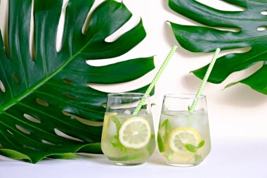 Arka planda canavar palmiyesi yaprakları olan iki bardak buzlu limonata. Limonlu, nane şekerli ve buzlu mojito içerek beyaza izole edilmiş, yakın çekim, kopyalama alanı.