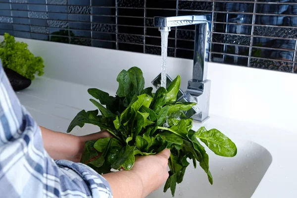 Κομμένο Χέρι Μιας Ενήλικης Γυναίκας Πλένει Ζουμερά Πράσινα Φύλλα Σπανάκι — Φωτογραφία Αρχείου