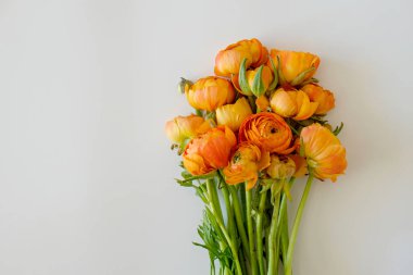 Güzel sarı-turuncu ranunculus buketinin makro çekimi izole arka planda. Görünür taç yaprağı. Parlak çiçek tomurcukları. Üst görünüm, kapat, boşluğu kopyala, kırpılmış resim.