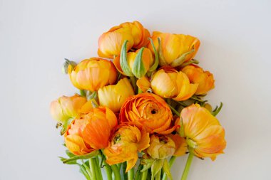 Güzel sarı-turuncu ranunculus buketinin makro çekimi izole arka planda. Görünür taç yaprağı. Parlak çiçek tomurcukları. Üst görünüm, kapat, boşluğu kopyala, kırpılmış resim.