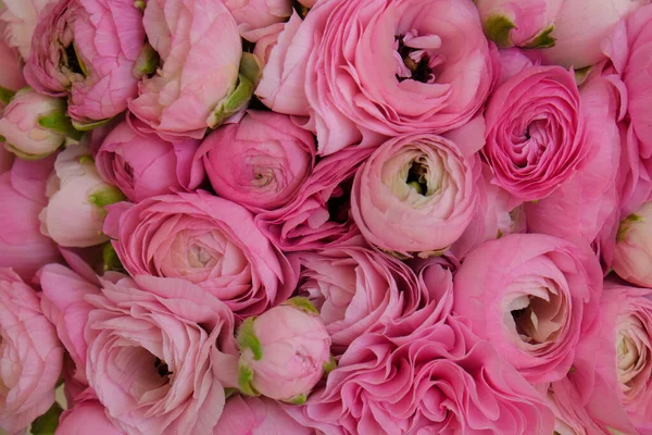 Macro Shot Beau Bouquet Ranunculus Rose Tendre Structure Des Pétales — Photo