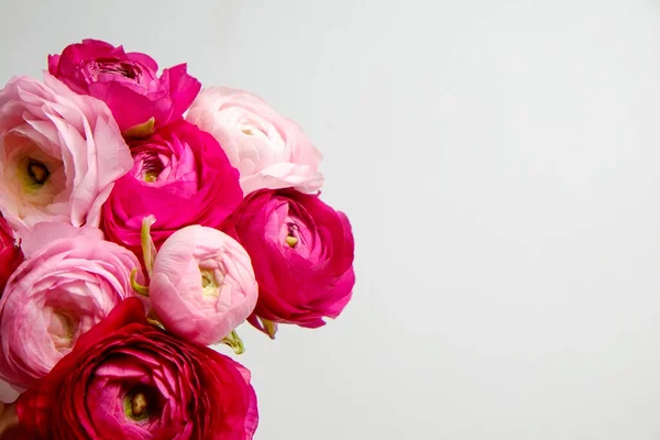 Makro Strzał Piękny Delikatny Różowy Biały Bukiet Ranunculus Odizolowanym Tle — Zdjęcie stockowe