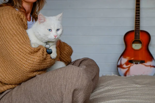 Retrato Mulher Jovem Segurando Bonito Branco Gato Angorá Turco Com — Fotografia de Stock