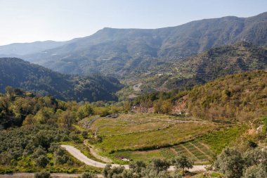 Dönüş yolu olan güzel bir dağ manzarası. Metin ve arkaplan için boşluk kopyala