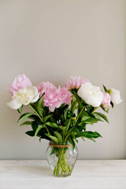 Cam vazodaki güzel şakayık çiçeklerinin, gri duvar arkaplanının üzerinde duran ve metin için bir sürü fotokopi alanı bulunan bir stüdyo resmi. Kadınsı çiçek kompozisyonu. Kapat, arkaplan.