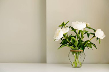 Cam vazodaki güzel şakayık çiçeklerinin, gri duvar arkaplanının üzerinde duran ve metin için bir sürü fotokopi alanı bulunan bir stüdyo resmi. Kadınsı çiçek kompozisyonu. Kapat, arkaplan.