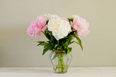 Cam vazodaki güzel şakayık çiçeklerinin, gri duvar arkaplanının üzerinde duran ve metin için bir sürü fotokopi alanı bulunan bir stüdyo resmi. Kadınsı çiçek kompozisyonu. Kapat, arkaplan.