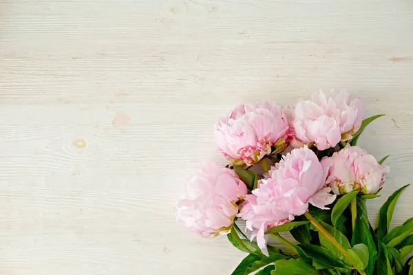 Studio Skott Vackra Pion Blommor Över Strukturerad Bakgrund Med Hel — Stockfoto