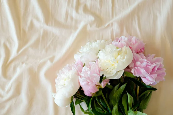 Nahaufnahme Von Rosa Und Weißen Pfingstrosenblüten Auf Einem Ungemachten Bett — Stockfoto