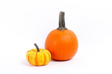 Beyaz arka planda izole edilmiş klasik bir portakal ve bebek balkabağı resmi. Sonbahar tatillerinin bir sembolü olarak, metin için bir sürü kopya alanı var..