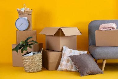 Yeni bir dairede gri tekstil kanepesinin yanındaki boş taşınma kutuları ve ev bitkileri. Geniş bir oturma odası, sarı duvarlar, paketsiz karton kutular. İç arkaplan, metin için kopyalama alanı