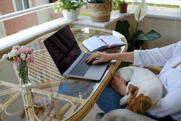 Ung Vacker Kvinna Sitter Fåtöljen Frilansande Balkong Kvinna Som Arbetar — Stockfoto