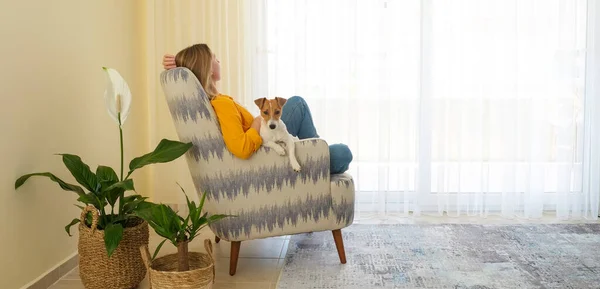 Adorable Gato Russell Terrier Cachorro Sentado Con Dueño Silla Textil — Foto de Stock