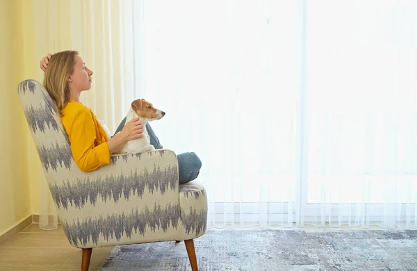 스러운 버팔로 테리어 새끼는 자신의 스타일 의자에 셔츠에 무릎에 강아지 — 스톡 사진