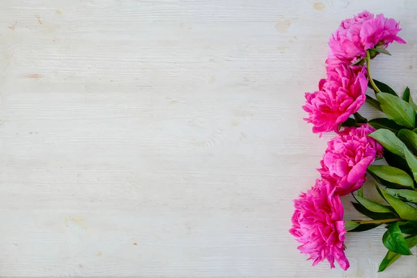 Studio Skott Vackra Pion Blommor Över Trä Strukturerad Bordsskiva Bakgrund — Stockfoto