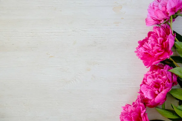 Estudio Plano Hermosas Flores Peonía Sobre Madera Texturizada Fondo Mesa — Foto de Stock