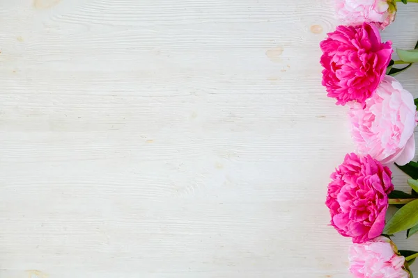 Estudio Plano Hermosas Flores Peonía Sobre Madera Texturizada Fondo Mesa — Foto de Stock