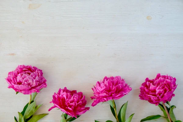 Studioaufnahme Wunderschöner Pfingstrosenblüten Über Holz Strukturiertem Tischhintergrund Mit Viel Kopierraum — Stockfoto