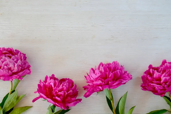 Studioaufnahme Wunderschöner Pfingstrosenblüten Über Holz Strukturiertem Tischhintergrund Mit Viel Kopierraum — Stockfoto