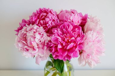 Cam vazodaki güzel şakayık çiçeklerinin, gri duvar arkaplanının üzerinde duran ve metin için bir sürü fotokopi alanı bulunan bir stüdyo resmi. Kadınsı çiçek kompozisyonu. Kapat, arkaplan.