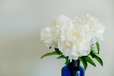 Cam vazodaki güzel şakayık çiçeklerinin, gri duvar arkaplanının üzerinde duran ve metin için bir sürü fotokopi alanı bulunan bir stüdyo resmi. Kadınsı çiçek kompozisyonu. Kapat, arkaplan.