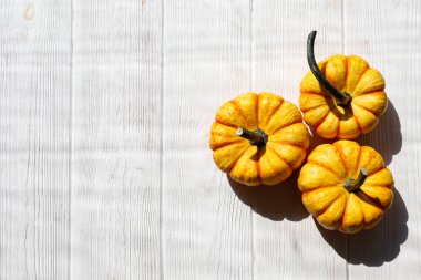 Ahşap kaplama arka planda üç dekoratif balkabağı yakın çekim bir sembol olarak sonbahar tatillerinde metin için bir sürü kopya alanı ile.