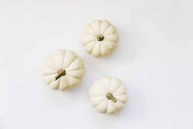 Parlak arka planda izole edilmiş üç bebek balkabağı yakın plan resmi. Sonbahar tatilinin sembolü olarak, metin için bir sürü fotokopi alanı var.