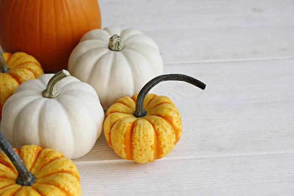 Bunch Classic Orange Hooligan Baby Boo Pumpkins Bright Background Symbol — Stock Photo, Image