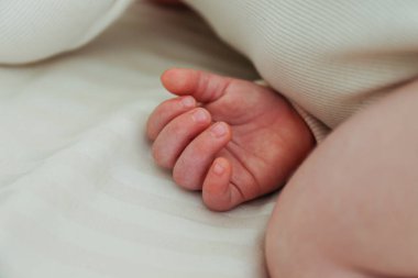 Küçük şirin bebek elinin kırpılmış görüntüsü. Boşluğu kopyala, arkaplan.