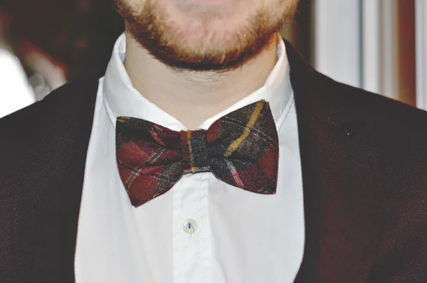 Kahverengi bir papyon içinde damat