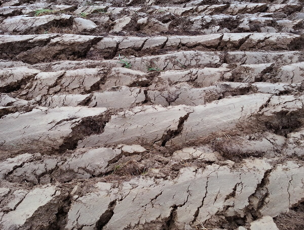 Приготовление земли Лоам
