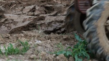 Bir pulluk bıçaklar