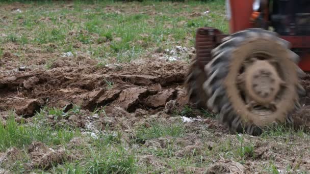 Tracteur labourant sur le terrain — Video