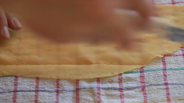 Fresh Egg Pasta — Stock Video