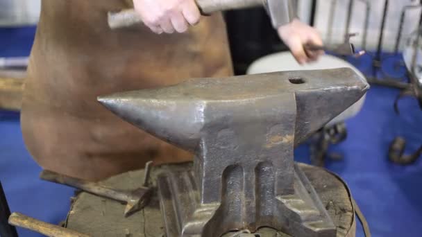 Forging a Horseshoe — Stock Video