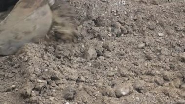 Site oluşturma Ekskavatör