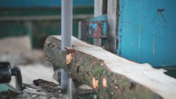 Лісопильне стрічкової пили — стокове відео