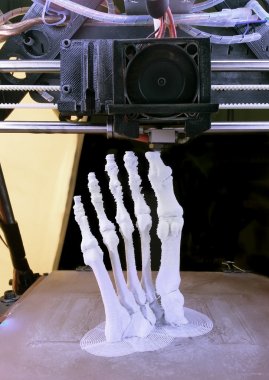 Foot Bones Printing clipart