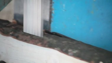 Şerit testere kereste fabrikası