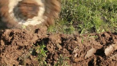 Bir pulluk bıçaklar