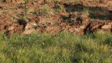 Toprak traktör ile çiftçilik