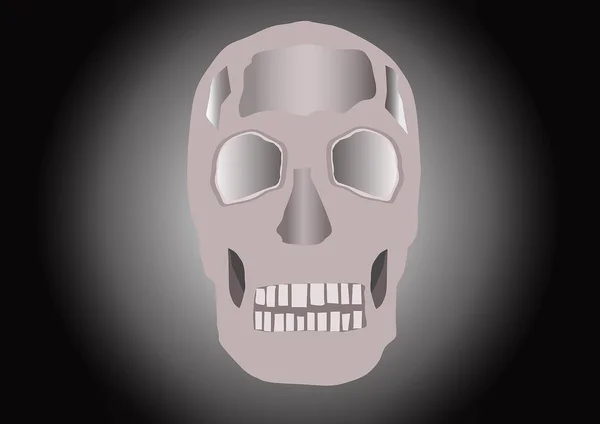 Modèle illustration vectorielle du crâne — Image vectorielle