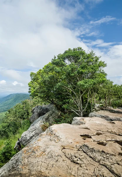 Vista del Parque Nacional Pa Hin Ngam, Tailandia — Foto de Stock