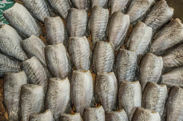 Dried snakeskin gourami fish — Stock Photo, Image